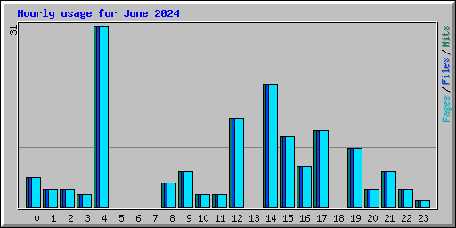 Hourly usage for June 2024