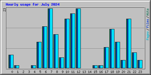 Hourly usage for July 2024