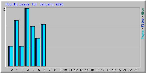 Hourly usage for January 2026