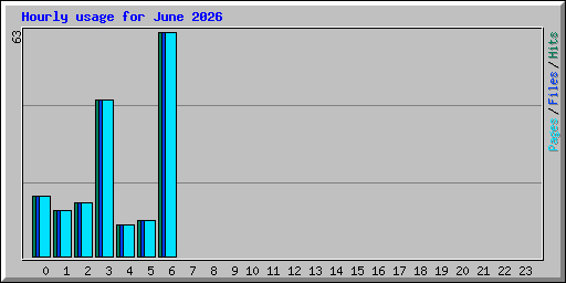 Hourly usage for June 2026